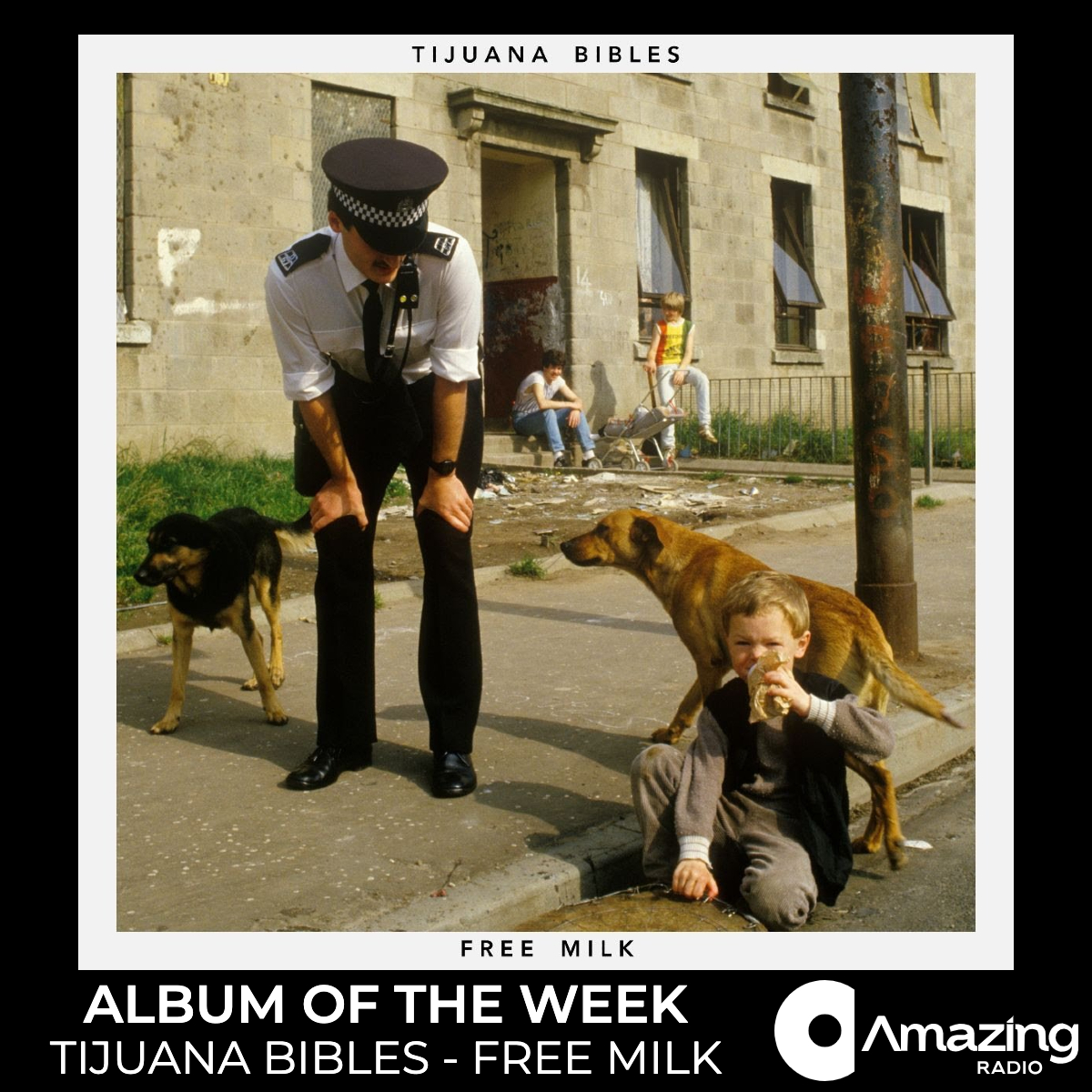 A decade on from their first EP, @Tijuana_Bibles have released their debut album; 'Free Milk' on @ButtonRecords and it is our Album of the Week! We'll be playing it, in full, this Friday, at 2pm, on @AmazingRadio 🎶 amazingradio.com/shows/album-of…