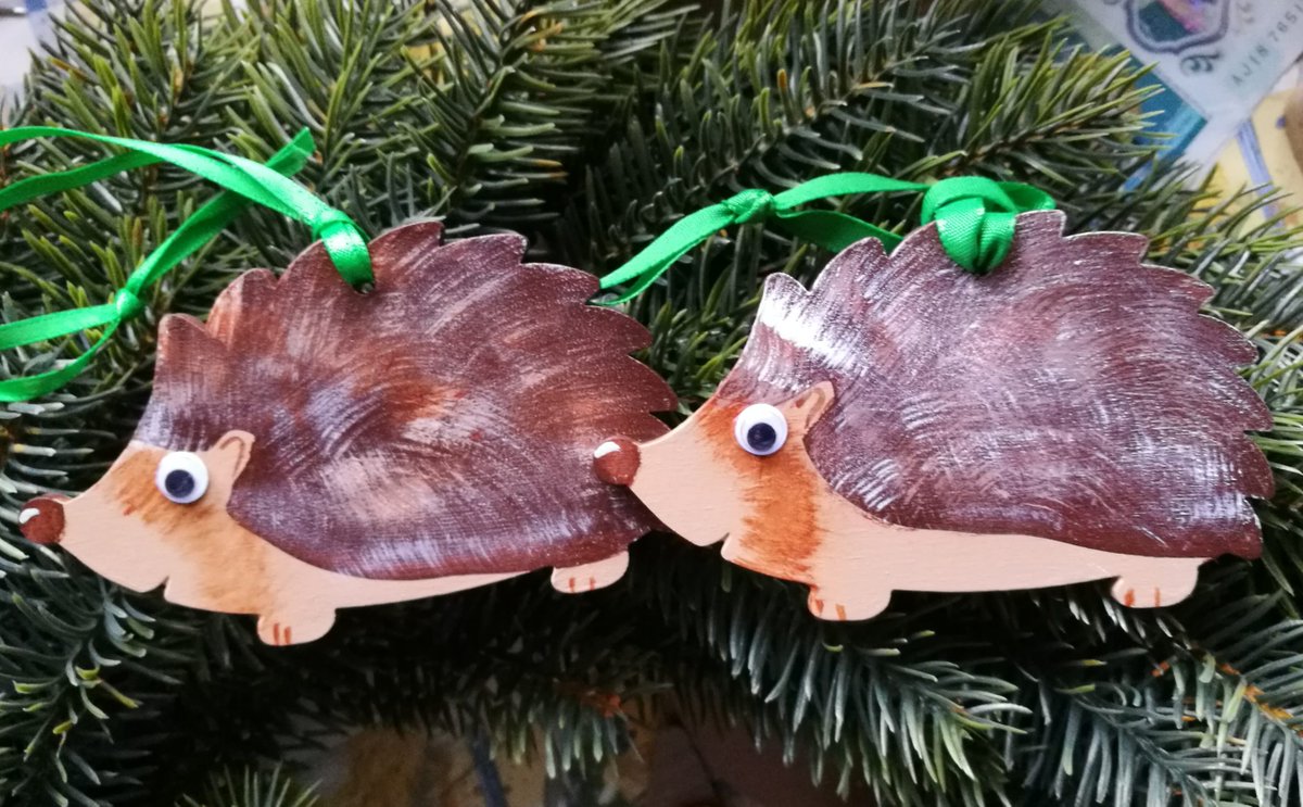 Deck the halls with boughs of hoggies!⭐🦔🎄 How are these for brightening up the Christmas tree? Can you rival these wonderful hedgehog decorations shared with us by Hedgehog Champion, Margaret? #HedgehogStreet is a joint campaign run by us and @hedgehogsociety 📸M Nelson