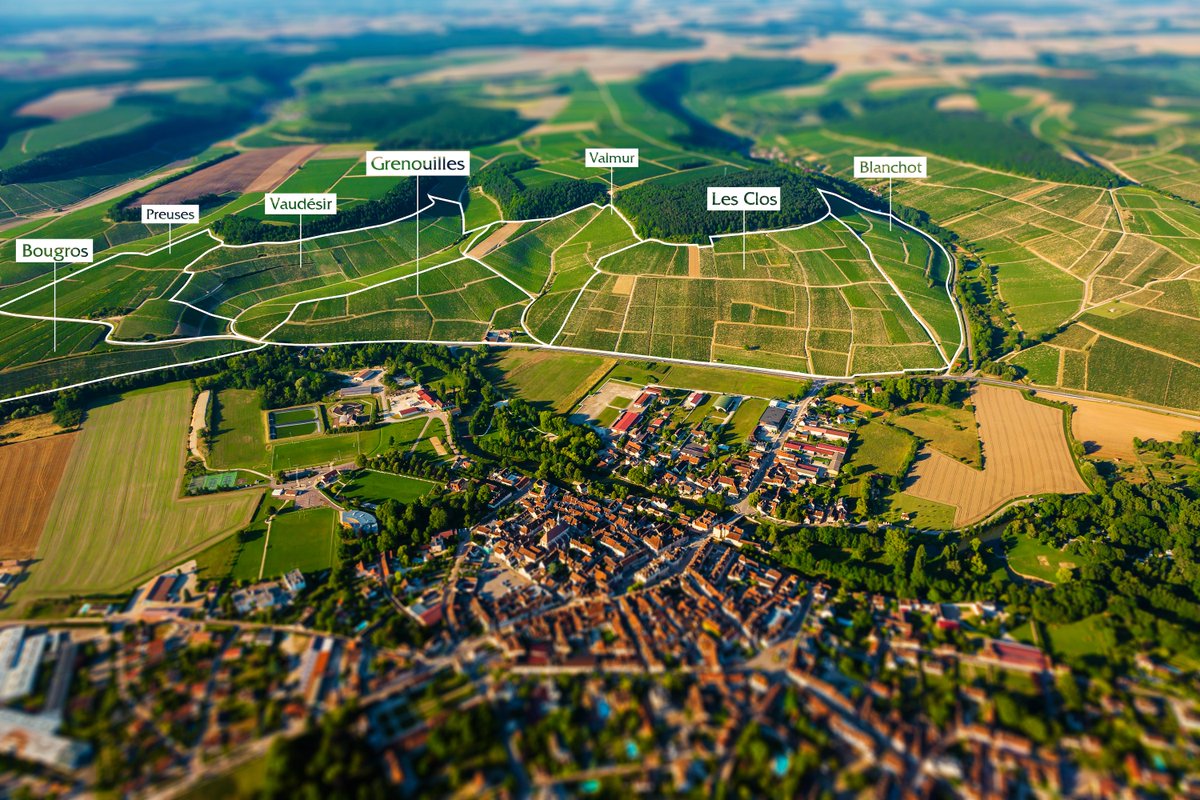 🔎 Bienvenue au-dessus de la colline du Chablis Grand Cru.
💎 Ne représentant que 1% de la production des vins de #Chablis, elle se répartit en 7 Climats : Blanchot, Bougros, Les Clos, Grenouilles, Preuses, Valmur et Vaudésir
👉 pulse.ly/dtt6tqtk6f
<a href="/VinsdeBourgogne/">Vins de Bourgogne</a>