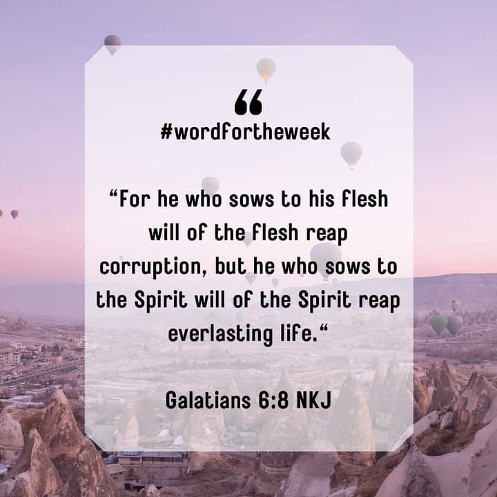 zobafletcher's tweet image. #wordfortheweek