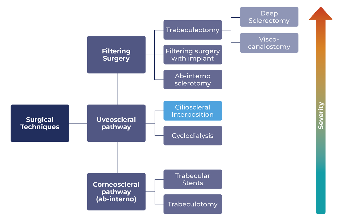cilia_tech's tweet photo. 📰Have you read how our cilioscleral interposition approach fits in with the current #glaucoma surgical landscape?  

Learn more about our innovative surgical technique below👇  
https://t.co/SycmvUdPqy  

#ophthalmology #eyecare #medtech #surgery https://t.co/QENjsGPSfI