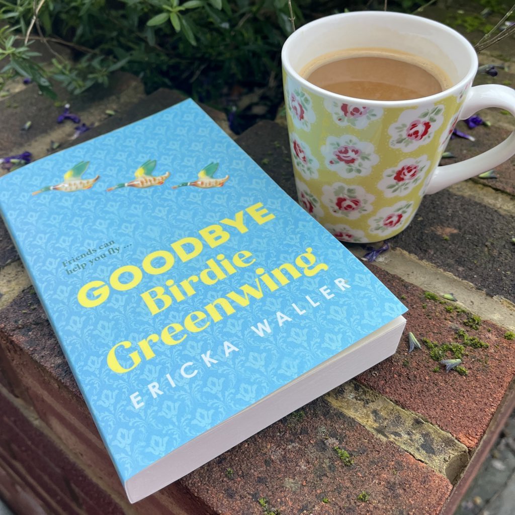 I read this in 24hrs (not exaggerating) and it destroyed me 😭 Goodbye Birdie Greenwing absolutely nails being at once extremely funny and incredibly moving. Ericka Waller’s voice is just so powerful, tender and beautiful. An easy ⭐️⭐️⭐️⭐️⭐️#GoodbyeBirdieGreenwing #ErickaWaller