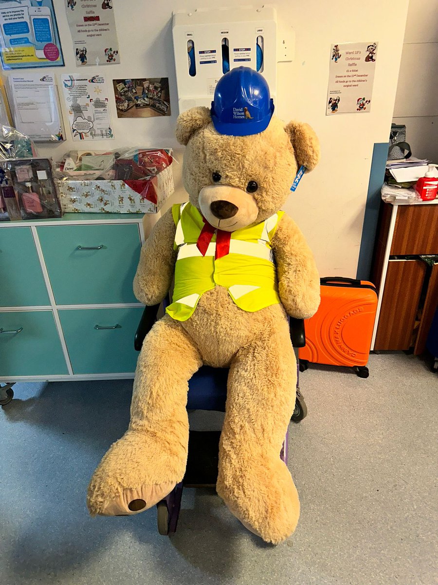 Thank to @DavidWilsonHome for your donation of Billy the Bear to our Christmas raffle! It will be drawn on 22nd December, please come to ward 19 if you’d like to purchase some raffle tickets 🎄 All donations will go towards improving our facilities on our Children’s Ward 🌈