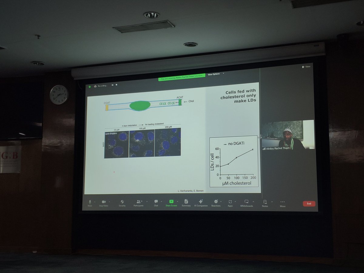 Vaishnavi tripathi (@vaishnavitr) on Twitter photo Our first virtual speaker Dr. <a href="/Rachid_Thiam/">Abdou Rachid Thiam</a> presented his incredible work in his talk titled "From the biophysics to cell biology of lipid droplets" explaining elegantly how cholesterol ester rich LDs form! Our first virtual speaker Dr. <a href="/Rachid_Thiam/">Abdou Rachid Thiam</a> presented his incredible work in his talk titled "From the biophysics to cell biology of lipid droplets" explaining elegantly how cholesterol ester rich LDs form!