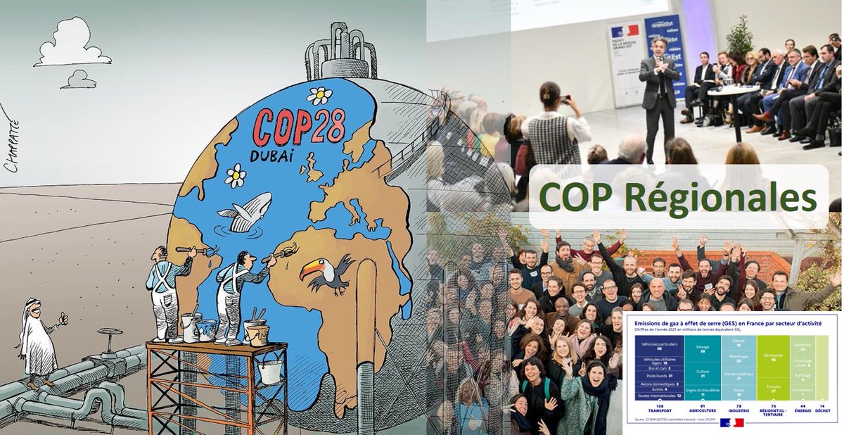 Dimitri Carbonnelle tweet media