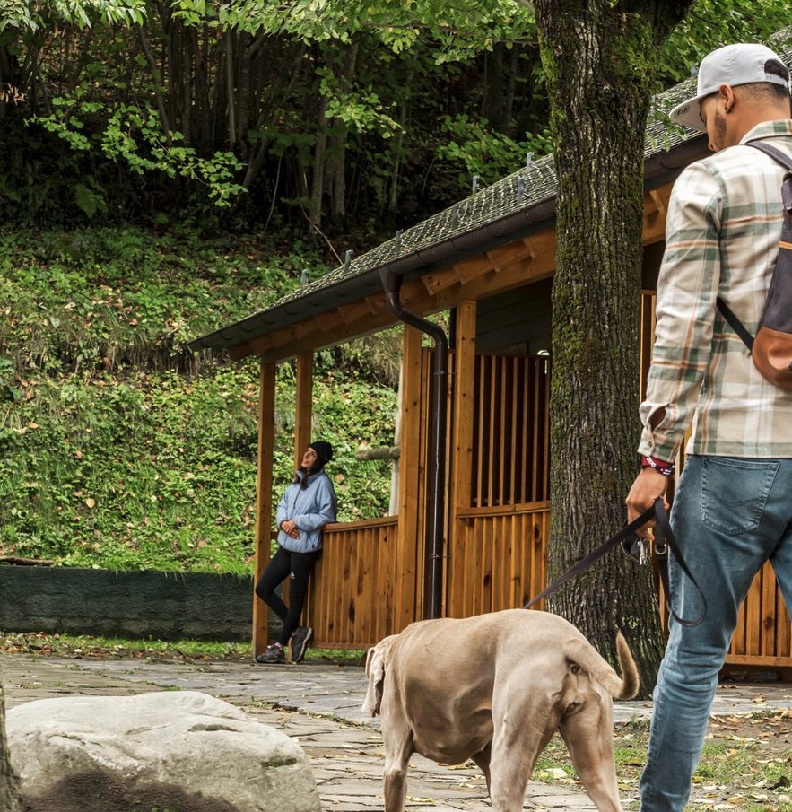Porque lo primero SIEMPRE es lo primero: nuestros peludos 🙃