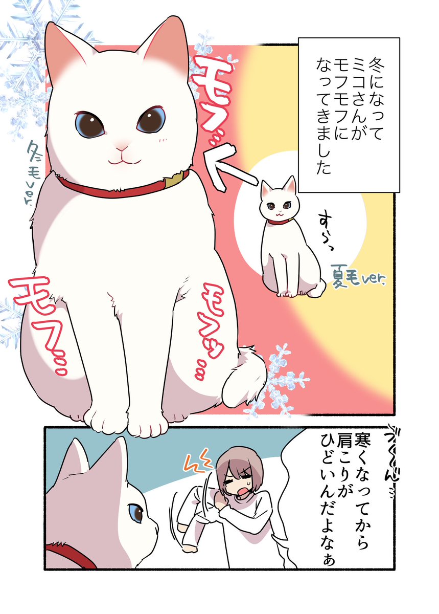 冬の猫に苦しめられている話
(1/2)
 #漫画が読めるハッシュタグ
 #愛されたがりの白猫ミコさん 