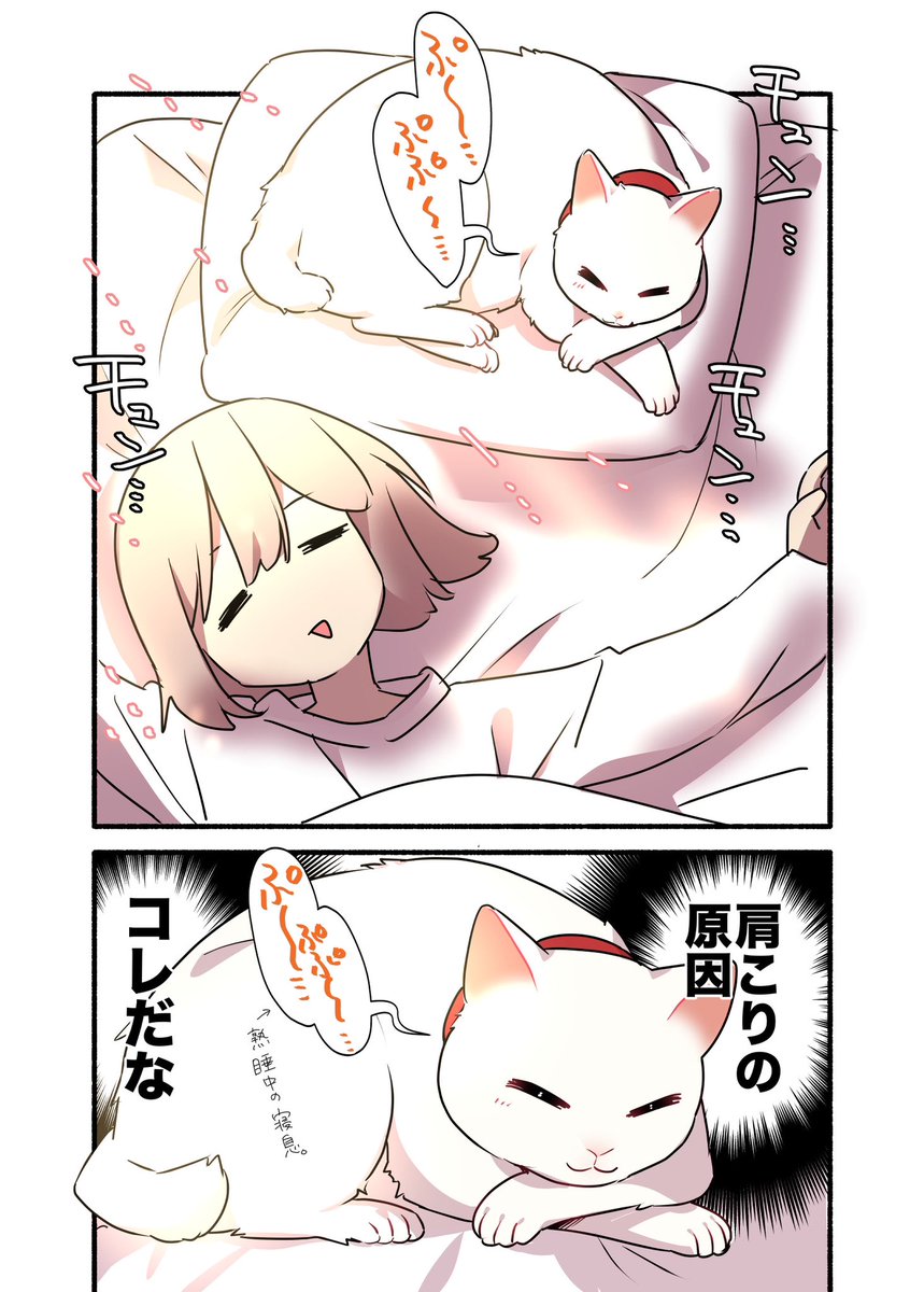 冬の猫に苦しめられている話 (2/2)  #漫画が読めるハッシュタグ #愛されたがりの白猫ミコさん