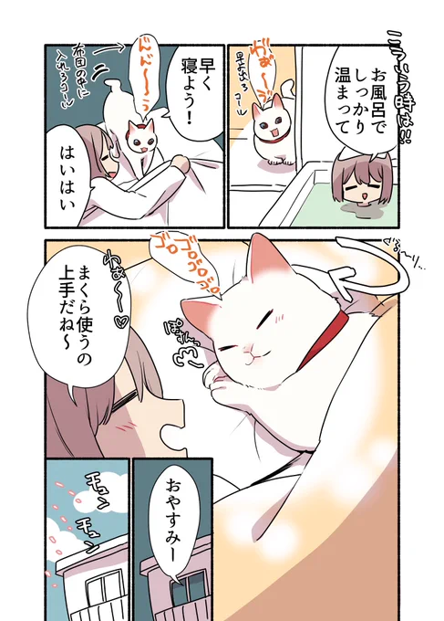 冬の猫に苦しめられている話 (2/2)  #漫画が読めるハッシュタグ #愛されたがりの白猫ミコさん
