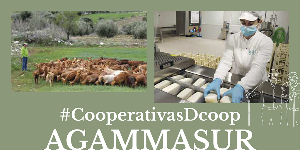 Hoy en #CooperativasDCOOP, te llevamos muy cerca del Parque Natural Montes de Málaga, donde se encuentra la cooperativa AGAMMASUR, fruto de la fusión de dos cooperativas de productores de leche de cabra que comercializan sus producciones a través de DCOOP.