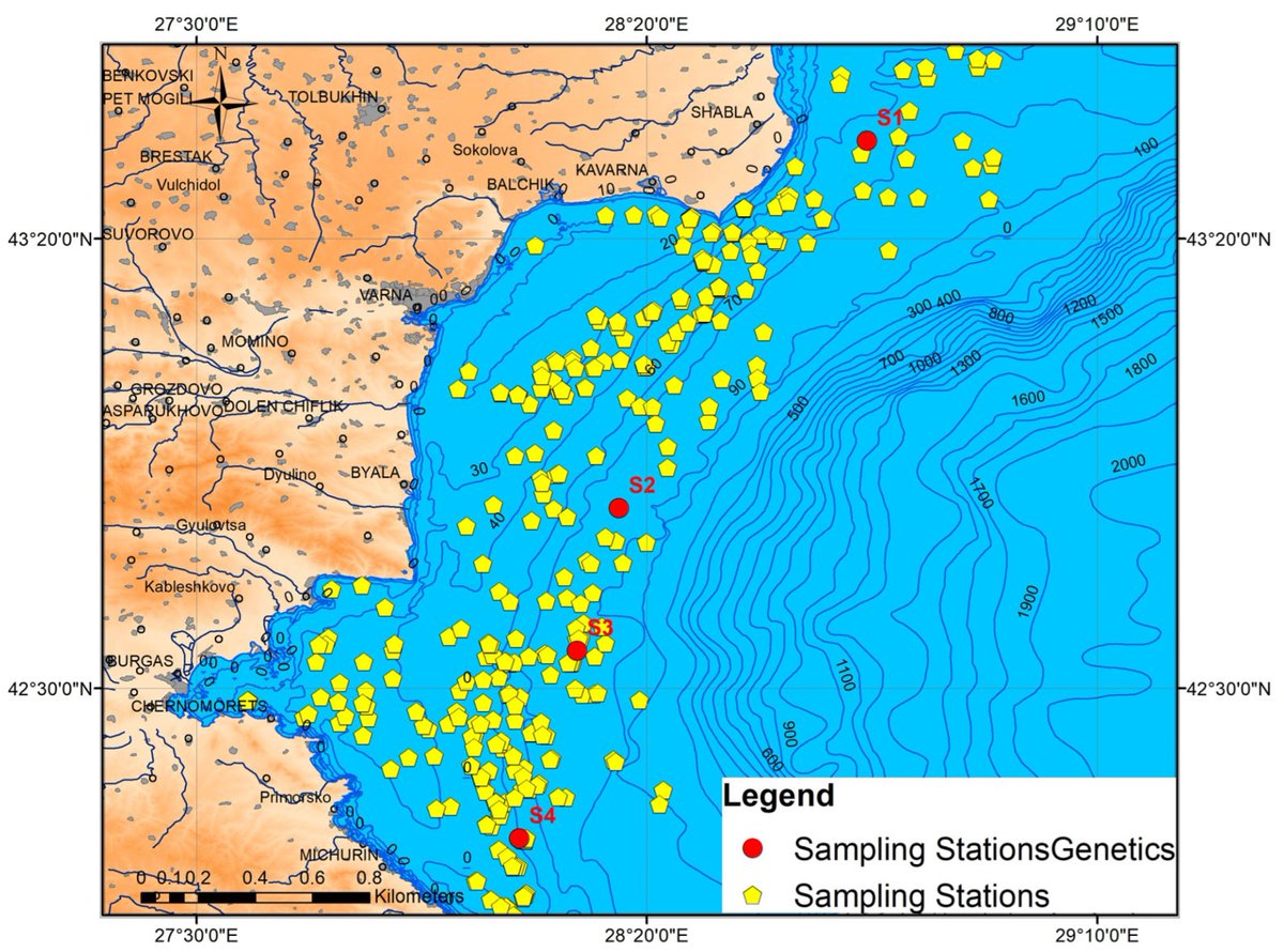 JMSE_MDPI's tweet image. #NewArticle

#SpatialDistribution and #GeneticDiversity of #Turbot (Scophthalmus maximus, Linnaeus, 1758) in Bulgarian #BlackSea Waters Relative to #FishingPressure and Their Abiotic Environment mdpi.com/2518764 #mdpijmse via @JMSE_MDPI @BgSciencesBAS

@MDPIBiologySubj