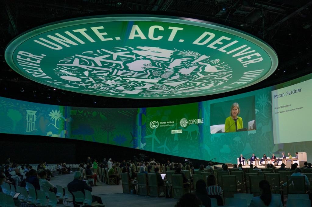 Traveling home from #COP28UAE I feel immense gratitude to the 100,000 people who dedicated their voices, focus and energy to ensuring ambition, solutions and accountability. I am especially proud to be part of the tireless @UNEP delegation for #ClimateAction #biodiversity