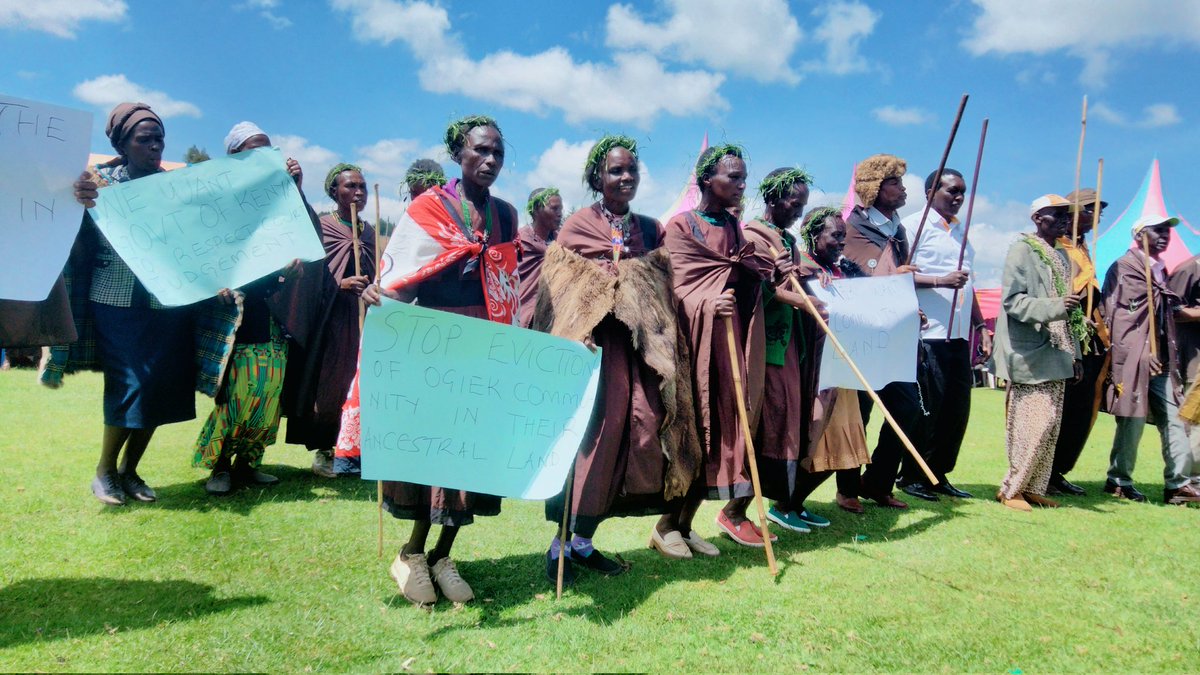 Program For The Heritage Of Ogiek and Mother Earth (@programogiek) on Twitter photo As we mark international human rights day,Ogiek calls for full implementation of the African court on human and people's rights made in their favour.
<a href="/GreengrantsFund/">Global Greengrants</a> <a href="/OHCHRKENYA/">OHCHR KENYA COUNTRY OFFICE</a>
@FinnishEmbNBO
<a href="/EarthRightsIntl/">EarthRights Intl</a> <a href="/IUCN_Respecc/">Nigel Crawhall</a> <a href="/phyllis_omido/">Omido Phyllis</a> <a href="/Siemenpuu/">Siemenpuu</a> <a href="/KIOSFoundation/">KIOS</a> As we mark international human rights day,Ogiek calls for full implementation of the African court on human and people's rights made in their favour.
<a href="/GreengrantsFund/">Global Greengrants</a> <a href="/OHCHRKENYA/">OHCHR KENYA COUNTRY OFFICE</a>
@FinnishEmbNBO
<a href="/EarthRightsIntl/">EarthRights Intl</a> <a href="/IUCN_Respecc/">Nigel Crawhall</a> <a href="/phyllis_omido/">Omido Phyllis</a> <a href="/Siemenpuu/">Siemenpuu</a> <a href="/KIOSFoundation/">KIOS</a>