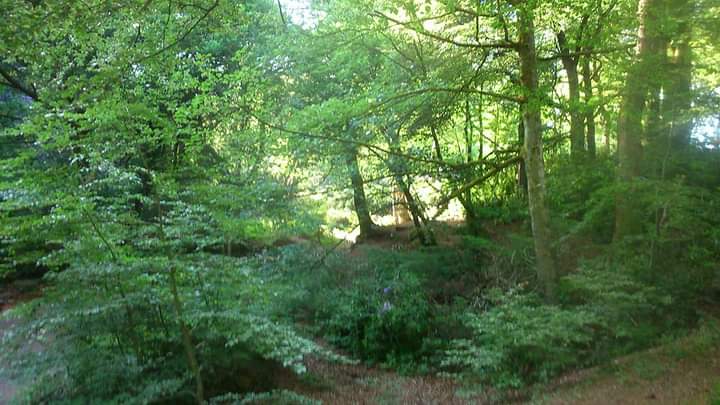 Moors to Mountains - Guided Adventures. tweet media