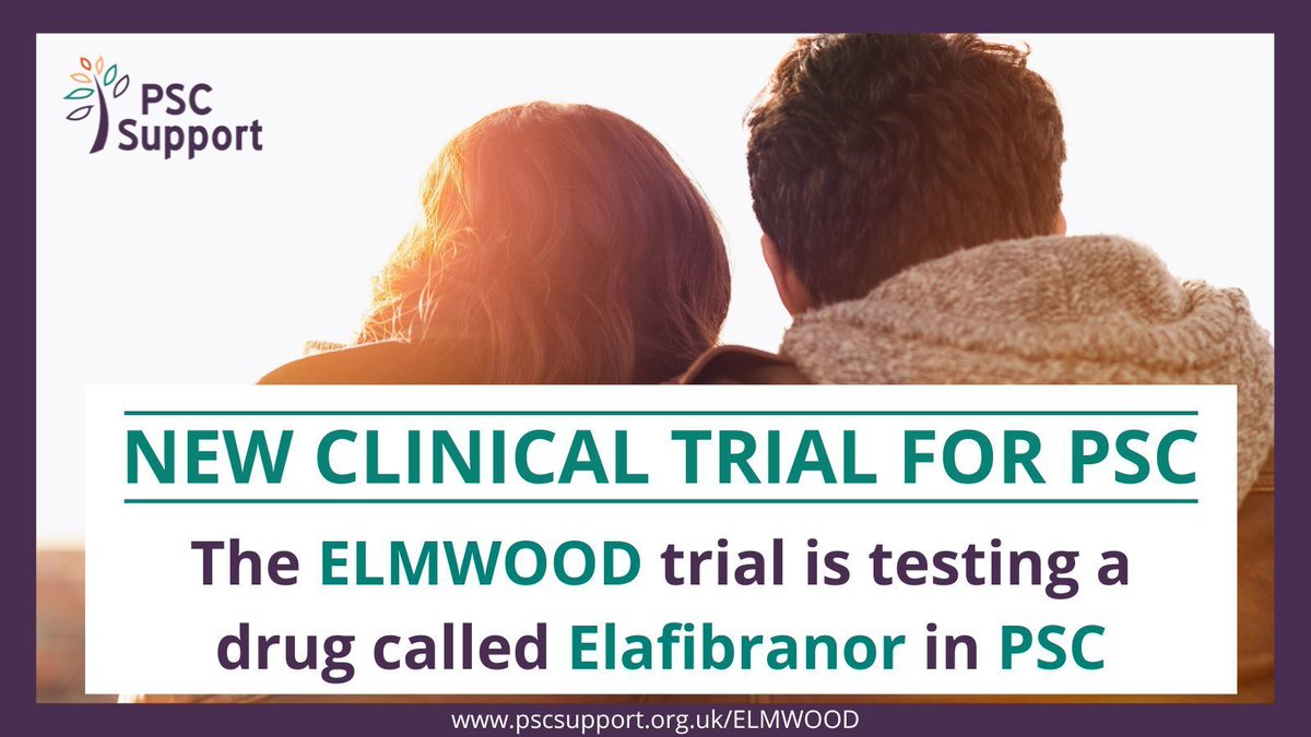 A new clinical trial is opening. It's called ELMWOOD and is testing a drug called Elafibranor in PSC. ➡️ bit.ly/487UWjv #PSCResearch #ClinicalTrials #LetsBeatPSC #PSC