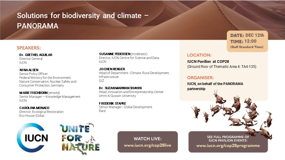 📢Join us TOMORROW for an in-depth discussion on Solutions for biodiversity and climate at #COP28📷! The event will be livestreamed at iucn.org/cop28live

Learn more here: panorama.solutions/en/news/soluti…