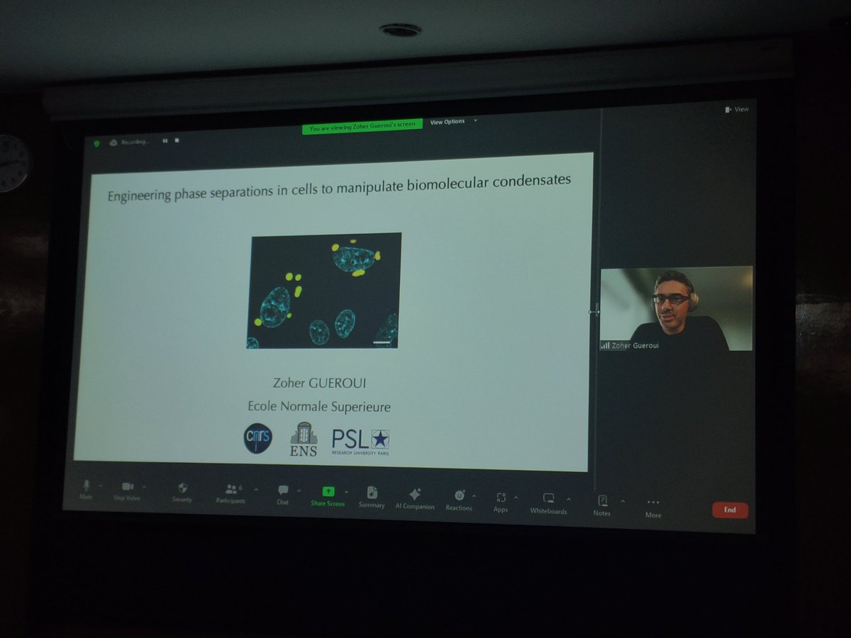 Vaishnavi tripathi (@vaishnavitr) on Twitter photo Our second virtual speaker Dr. <a href="/ZoherGueroui/">ZoherGueroui @zgueroui.bsky.social</a> gave an amazing talk on "Engineering phase separation in cells to manipulate biomolecular Condensates" beautifully merging Condensates and lipid droplets.. Our second virtual speaker Dr. <a href="/ZoherGueroui/">ZoherGueroui @zgueroui.bsky.social</a> gave an amazing talk on "Engineering phase separation in cells to manipulate biomolecular Condensates" beautifully merging Condensates and lipid droplets..