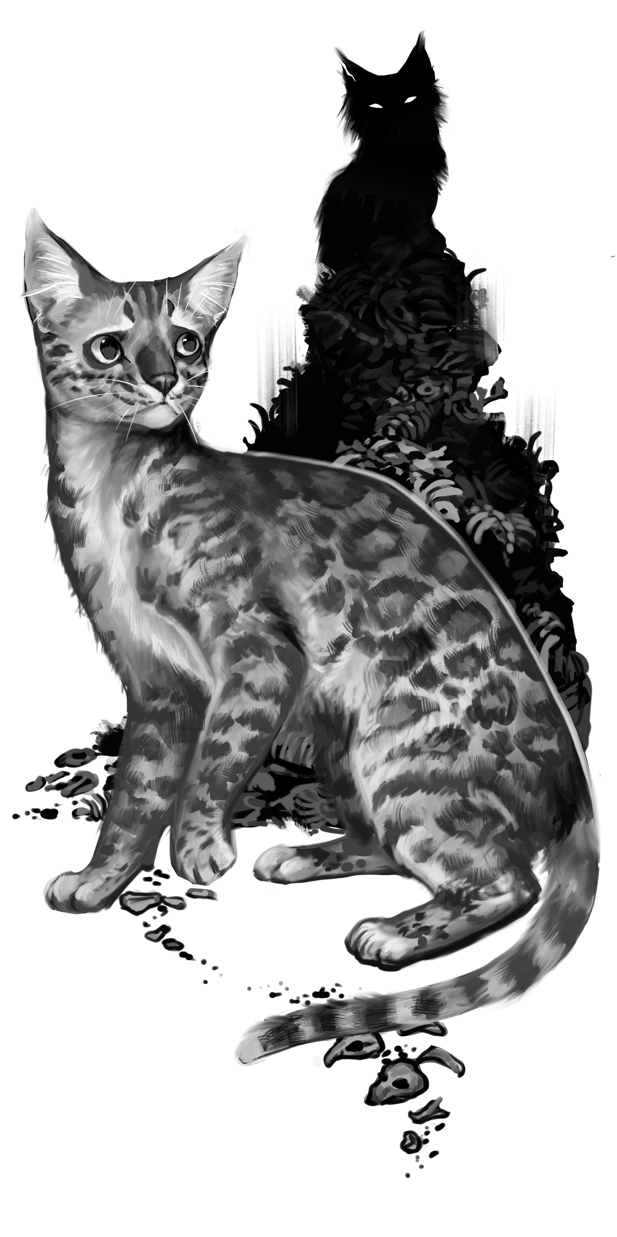 Warrior Cats^~, Wiki