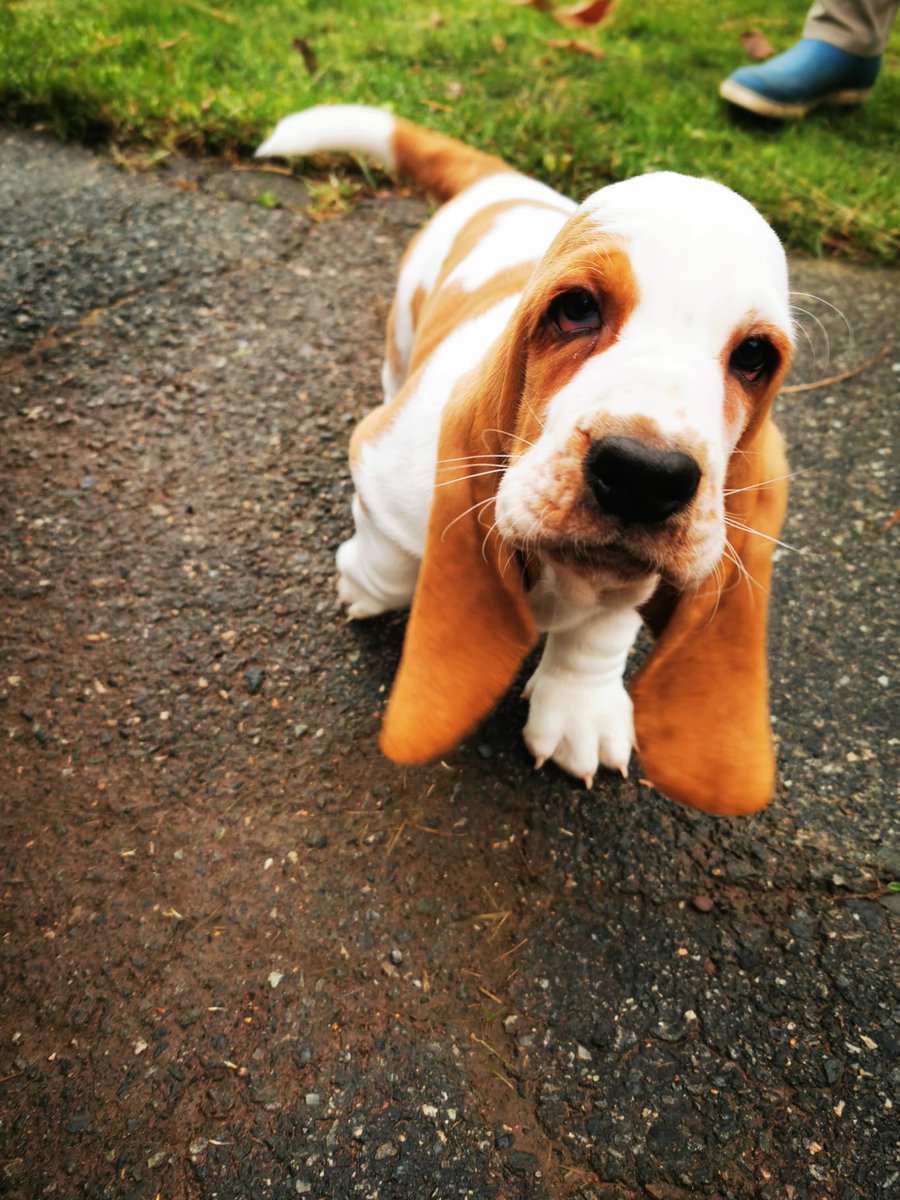 Lomar Mendz tweet media