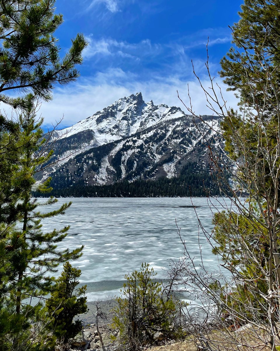 A frozen Jenny Lake…in the middle of May. 

Grand Teton National Park (May 2021)

Shot on iPhone

#photograghy #MondayMorning #MondayMotivation #anothermonday