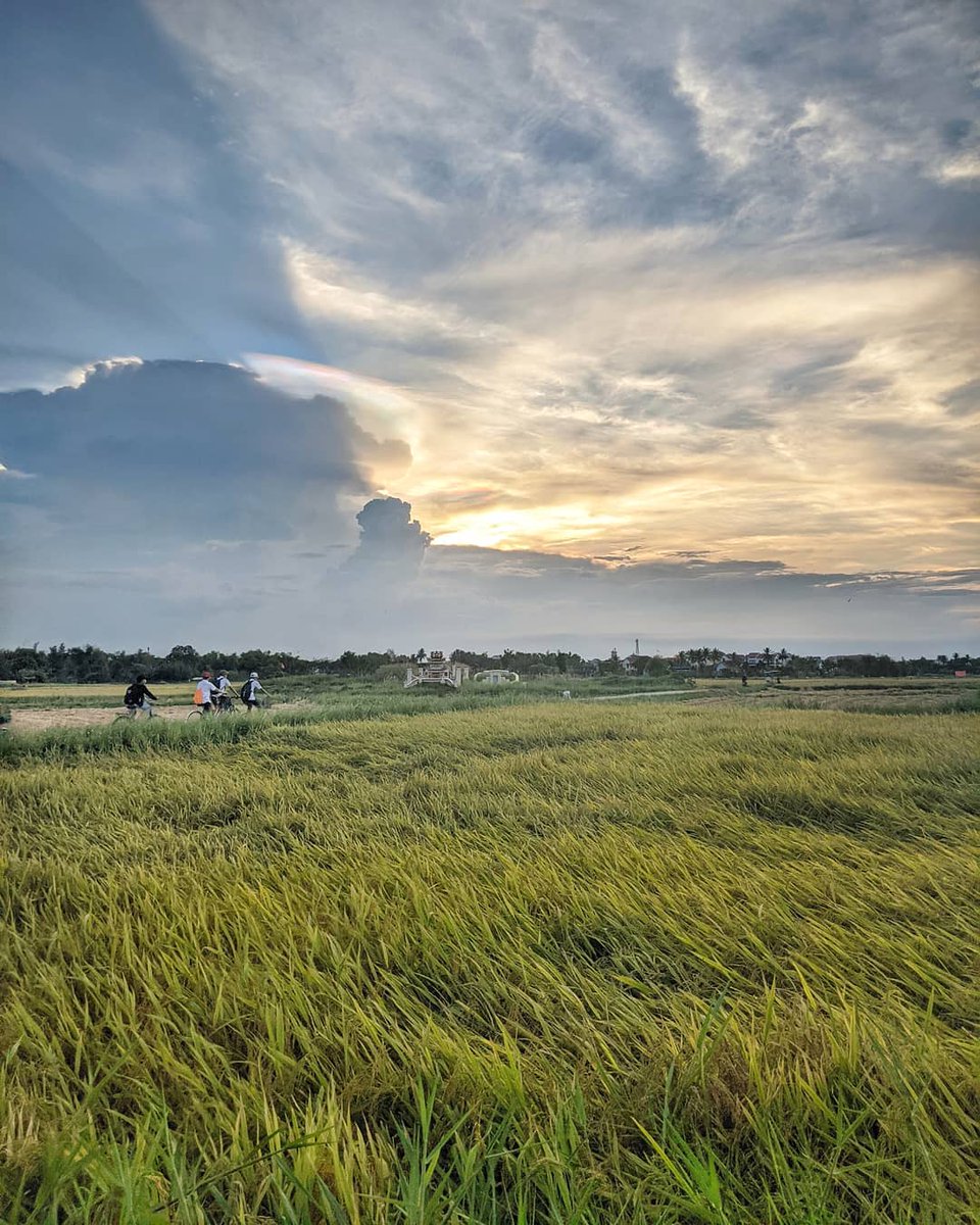 Shujoa (@shujoa193114) on Twitter photo 