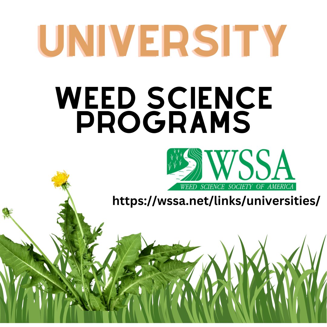 The #WSSA website has a page dedicated to university #weedscience programs for those wanting to pursue a professional career via academia.  Please visit:

wssa.net/links/universi…

#invasiveplants #agriculture #forestry #landscape #aquatics #wildfire #naturalareas