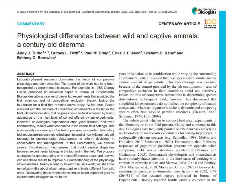 In their #JEB100 Commentary @TurkoLab @Britney_Firth @this_is_brit & co outline why physiological differences between wild & captive animals may occur & discuss strategies to reconcile lab & field results to obtain ecologically relevant data journals.biologists.com/jeb/article/22…