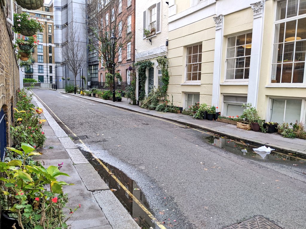 You would be forgiven to think this is an AI generated image after prompting 'végétalisation' but no, it's real. Lovely continental feel to Chadwick Street in @CityWestminster. More please 🌺💚