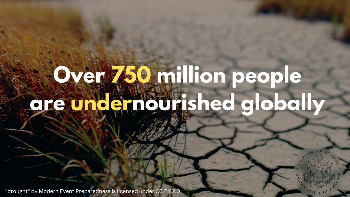 Droughts & flooding linked to #climatechange impacts the food security of our communities. U.S-Pakistan agriculture #GreenAlliance Framework supports $20 M project to preserve soil & water resources for vegetable farmers in Punjab & Sindh, improving productivity by 10 %.