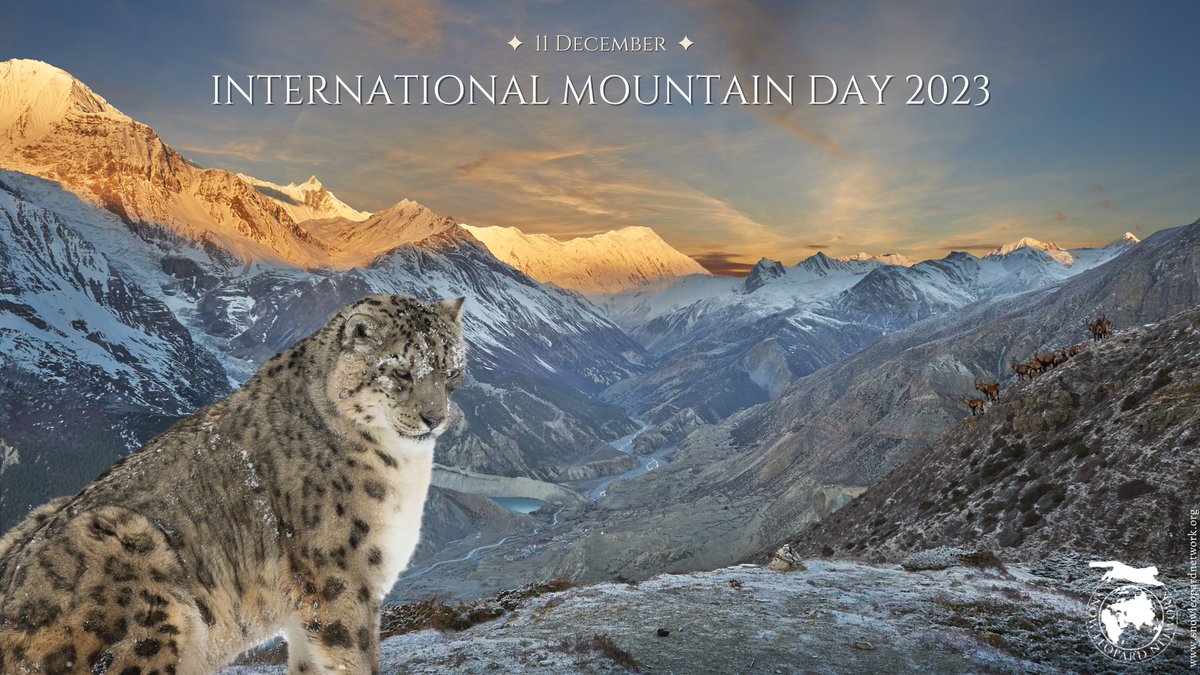 🏔️Celebrating #InternationalMountainDay2023🏔️ #Mountains are home to 15% of people & ~half the global biodiversity #hotspots🌏🐆 This #MountainDay, let's roar to raise awareness & advocate for #naturebasedsolutions to preserve these crucial ecosystems & their rich biodiversity!