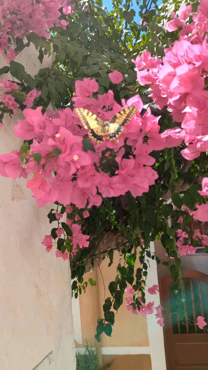 Reewey (@reewey59085) on Twitter photo 