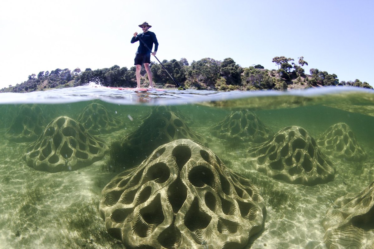 Designed by @reefdesignlab, these installations are erosion mitigation units that are helping to provide much needed provide coastal protection in Australia's Dell Eco Reef. Learn more 🪸 reefdesignlab.com/emu #design #sustainability #circulardesign #marinelife #coastaldesign