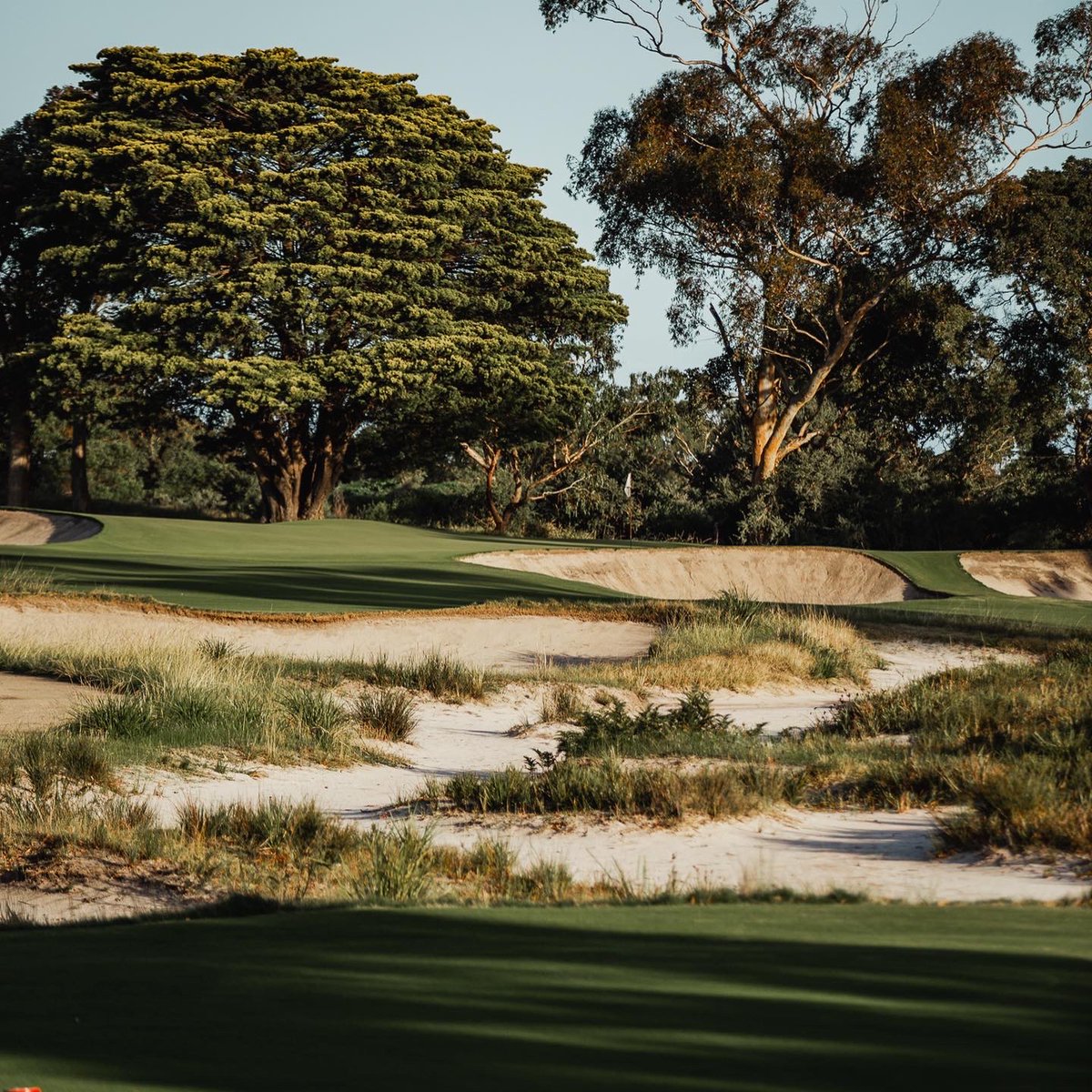 Contours Golf tweet media