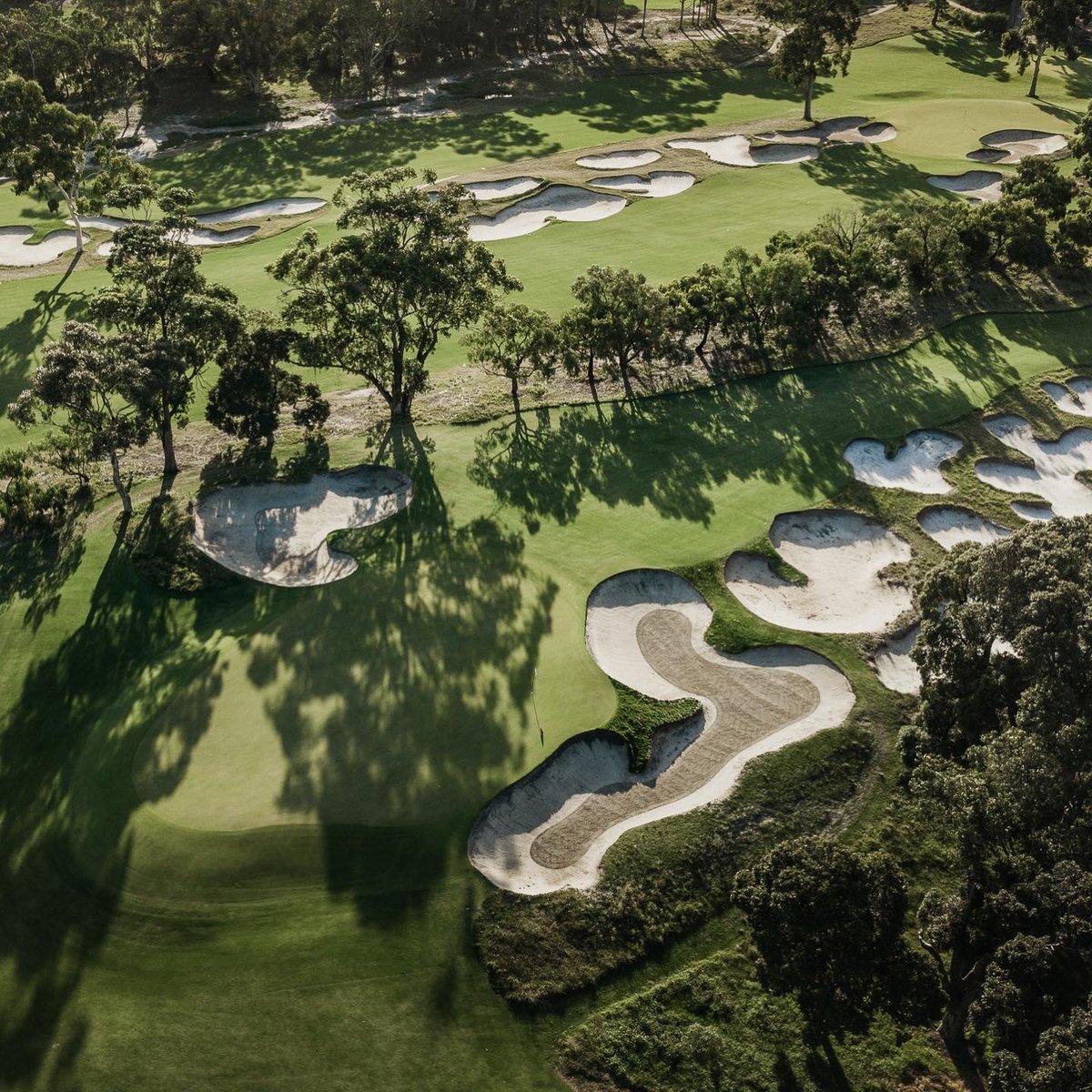 Contours Golf tweet media