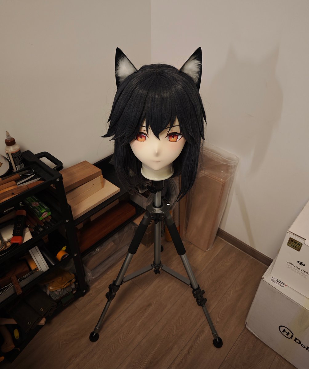 新的批脸诞生了(≖_≖ )
#kigurumi #着