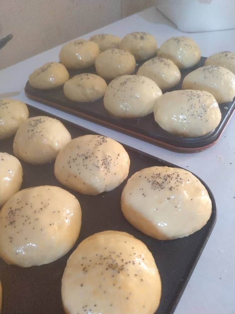 Cole Street Guesthouse tweet media