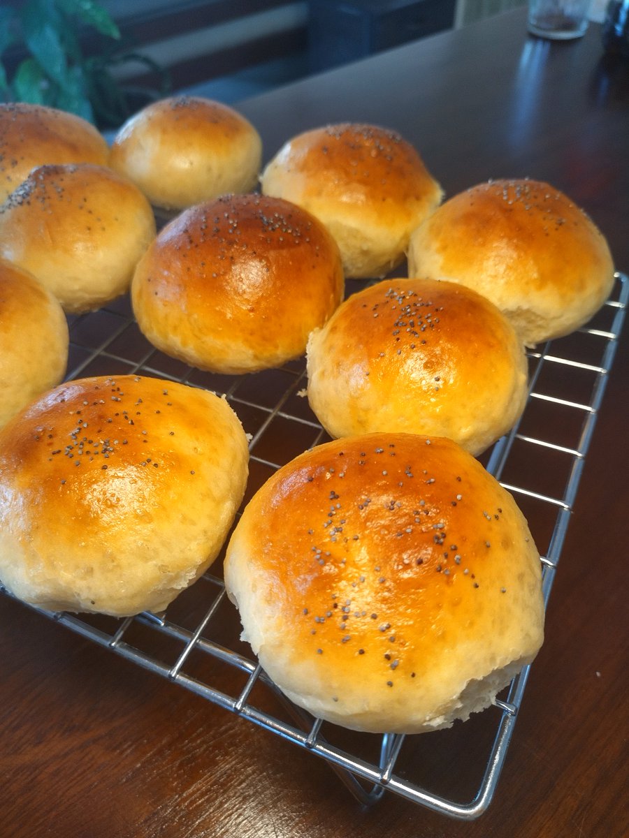 Cole Street Guesthouse tweet media