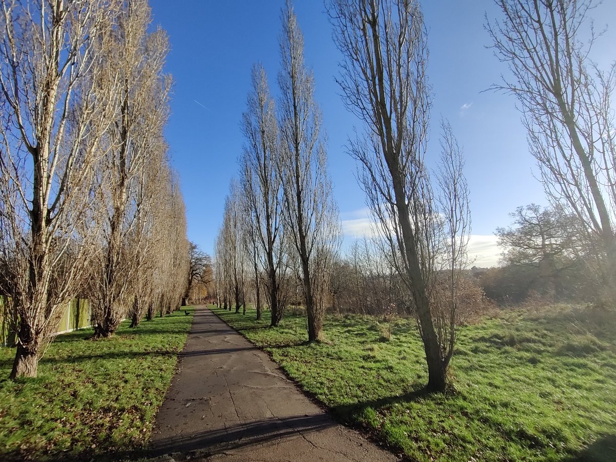 Today's walking view.
Lovely and sunny and not too chilly 
#OakwoodPark