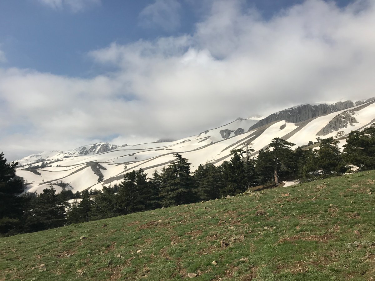 Dağ günü kutlu olsun! Bu sene dağ ekosistemlerinin restorasyonuna dikkat çekiliyor. Türkiye’de restorasyona ihtiyaç duyulan aklıma ilk gelen dağlar
1) Kazdağları (maden bölgesi)
2) Kaçkarlar 
3) Burdur-Isparta-Afyon dağları (mermer ve taş ocakları)
#MountainsMatter