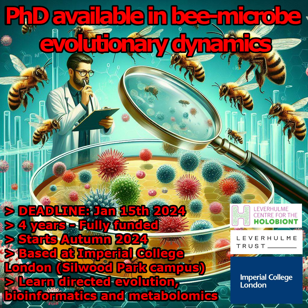 PhD Using bees🐝, bee microbes 🦠&amp; state-of-the-art automated bioreactors to drive the 🧬evolution of beneficial traits in bee microbial communities then explore how persistent they are in the face of competition &amp; stress. Focus: evolution, microbiome engineering &amp; metabolomics