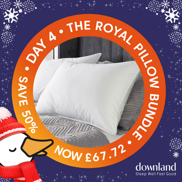 DownlandBedding's tweet image. #WinterWarmers Day 4! Sleep like royalty with Downland with our Grosvenor Luxury Goose Down Surround Pillow  👑✨ 

🛍️ downlandbedding.co.uk/the-royal-pill… 

Was £112.87 now just £67.72! 

Treat yourself like royalty this Christmas 🎄 🎅 

#Downland #SleepWellFeelGood