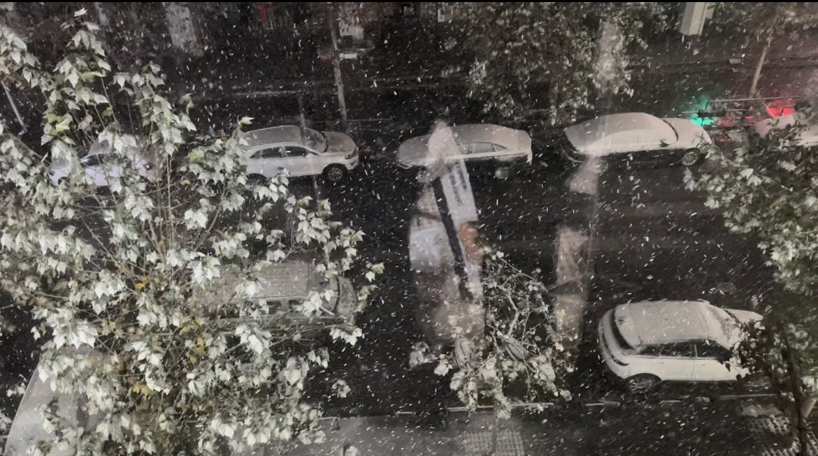 important009's tweet image. 记录一下今年冬天的第一场雪##郑州 #反差女孩  #生活日常