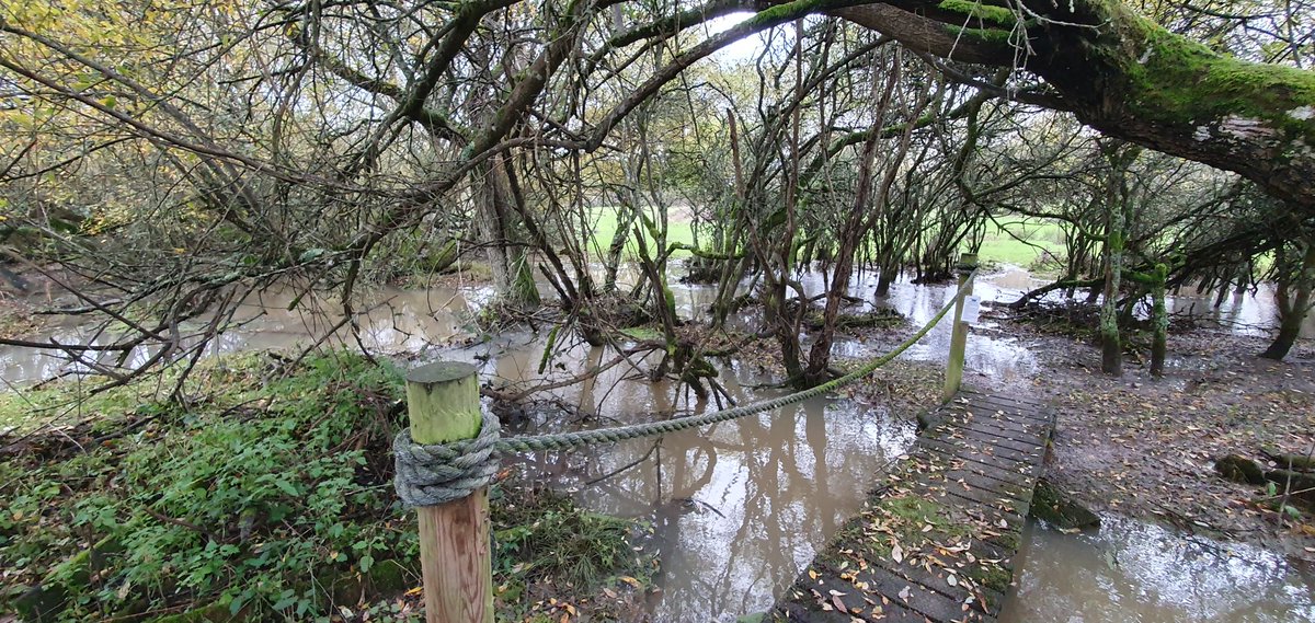 Flow sensor gauge installation @KneppWilding 🔨🔧 Loved all the #wetwoodland in the riparian zones slowing the water as it drifts across the landscape 🐖

#slowtheflow #rewilding #beaver #lowcostsensors #environmentaldata #rewildyourself #arduino #riverwoods