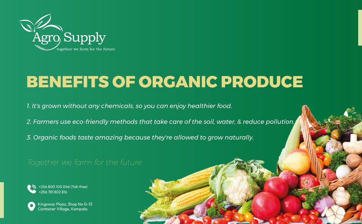 #DidYouKnow organic produce is all about natural farming methods that are good for your health and the environment. So when you choose organic, you're getting food that's clean and green! Organic produce are foods grown without any chemicals or modifications. #organic Benefits👇