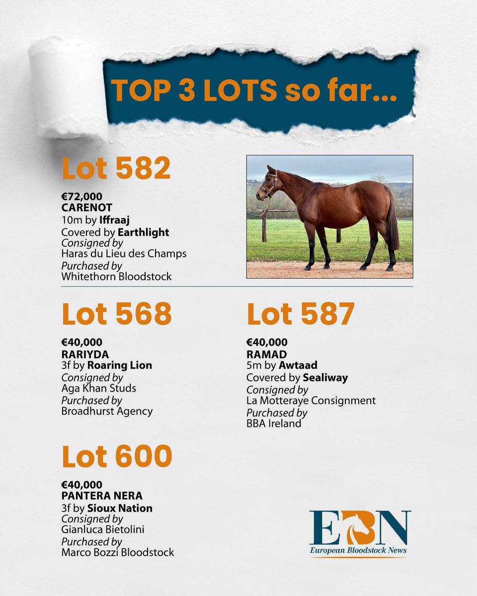 EBN (@bloodstocknews) on Twitter photo 🟠 We're back for Day 3 of <a href="/InfoArqana/">ARQANA</a> Vente d'Elevage and at 1:15pm the Top Lots so far are...
🌟 Lot 582 CARENOT - consigned by <a href="/HarasLDC/">Powell Richard</a> and sold to <a href="/whitethornstud/">Whitethorn Bloodstock</a> for €72,000
📰 Full report in tomorrow's EBN
#ReadAllAboutIt 🟠 We're back for Day 3 of <a href="/InfoArqana/">ARQANA</a> Vente d'Elevage and at 1:15pm the Top Lots so far are...
🌟 Lot 582 CARENOT - consigned by <a href="/HarasLDC/">Powell Richard</a> and sold to <a href="/whitethornstud/">Whitethorn Bloodstock</a> for €72,000
📰 Full report in tomorrow's EBN
#ReadAllAboutIt