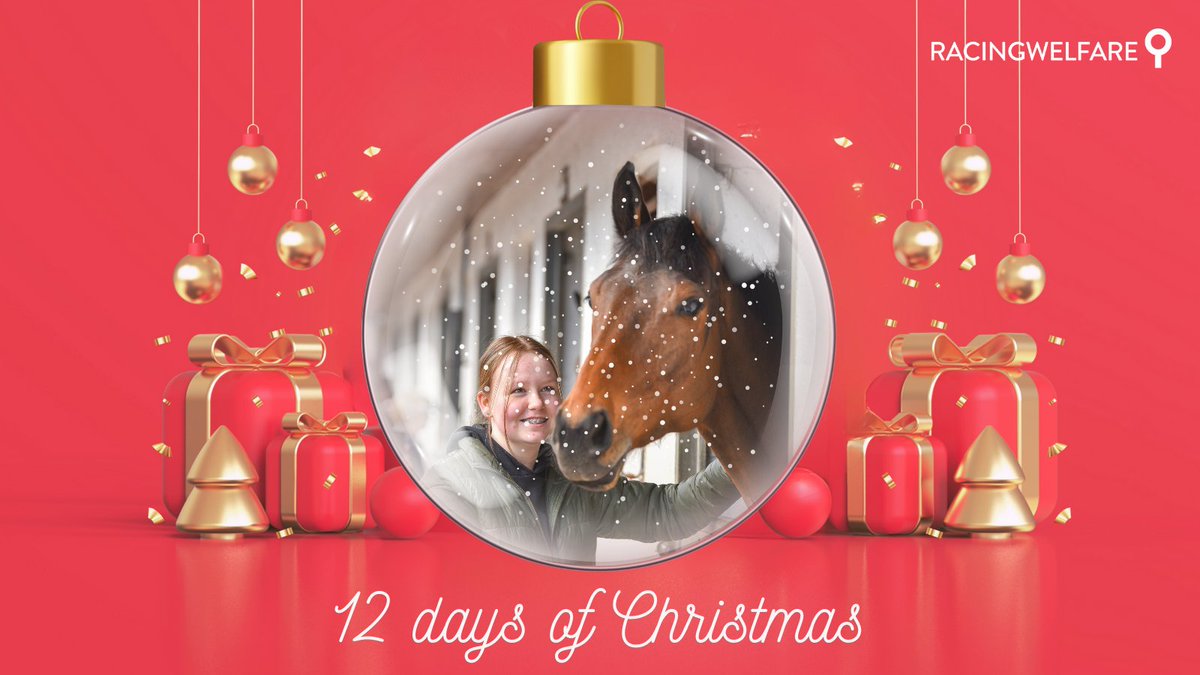 12 days of Christmas🎄 2023 saw not one but two jam-packed open days, one in Middleham and one in Malton. Combined, the events saw 5,000 people enjoy a fun-filled day exploring historic racing yards and afternoon entertainment. Keep an eye on our website for info on 2024 events