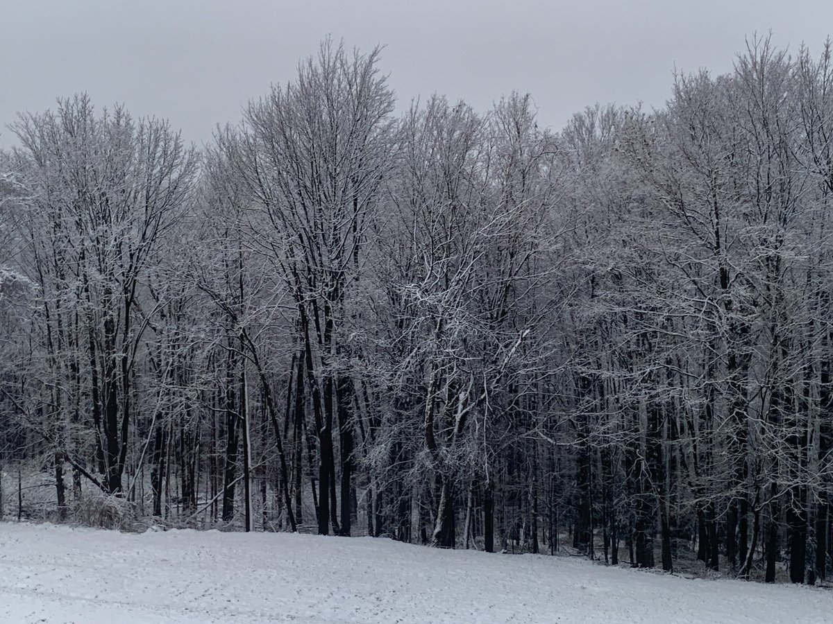 This is a color photo. Just sayin’ #golfchat