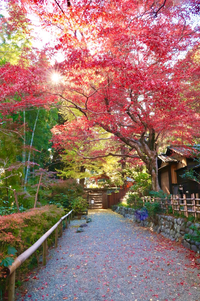 百草園