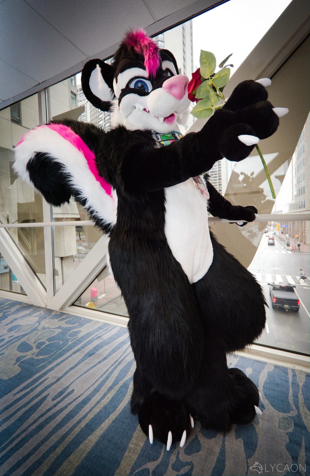 If you're going to FWA this week come give a skunk dog some hugs