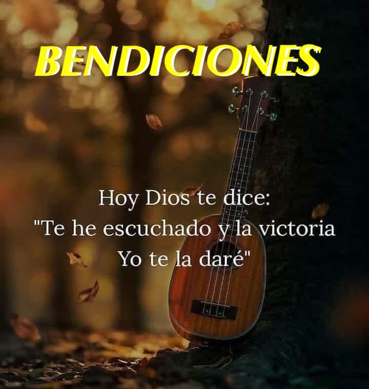 EN DIOS ESTAMOS SEGUROS 🙏🏻 tweet media